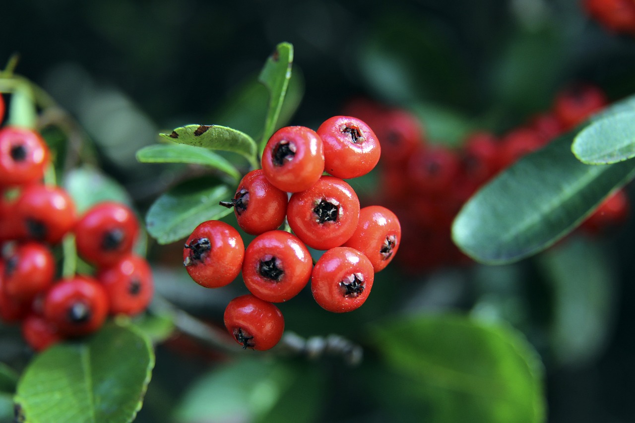 界舞台上展 界舞台上展