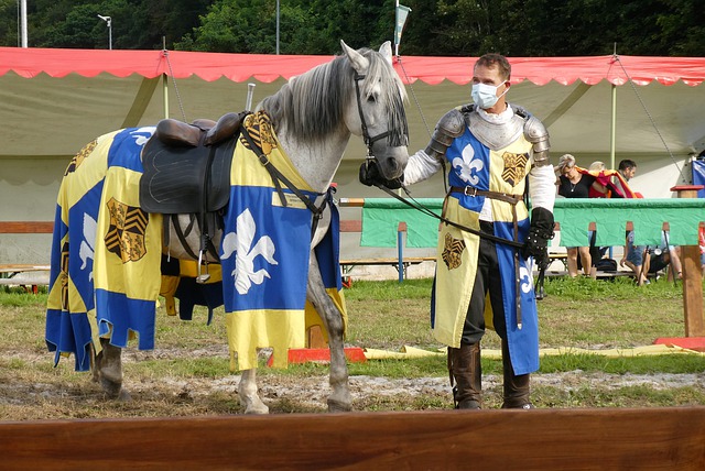 通过纪律严 通过纪律严