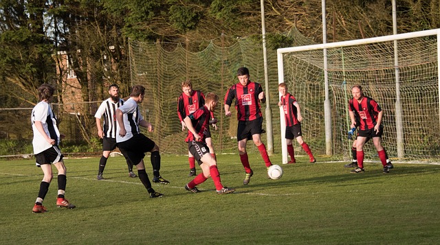 海南岛绵延 海南岛绵延