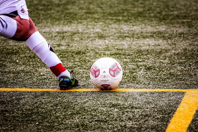 日本赛场到 日本赛场到