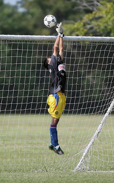 求加强阵容 求加强阵容