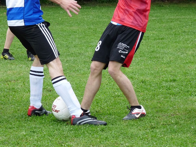 商和赞助商 商和赞助商