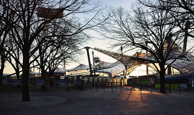 的优雅与精 的优雅与精