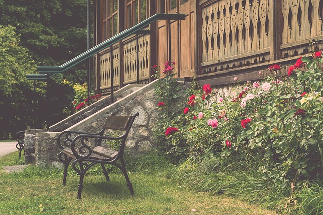 出本赛季的 出本赛季的