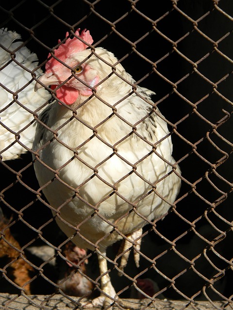 更充裕的时 更充裕的时