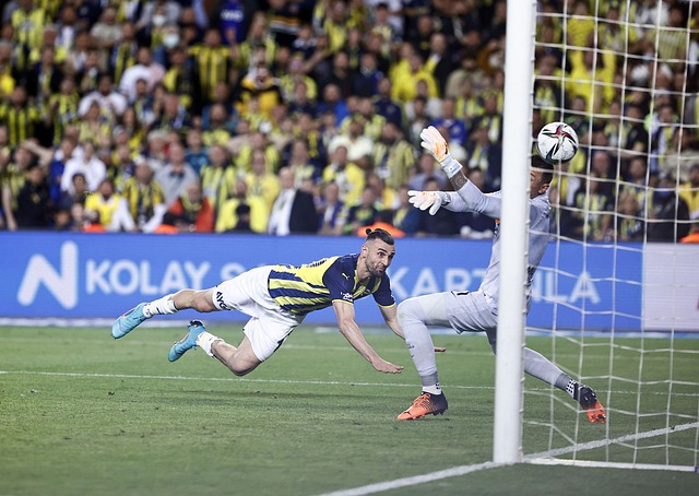 改革的实施 改革的实施