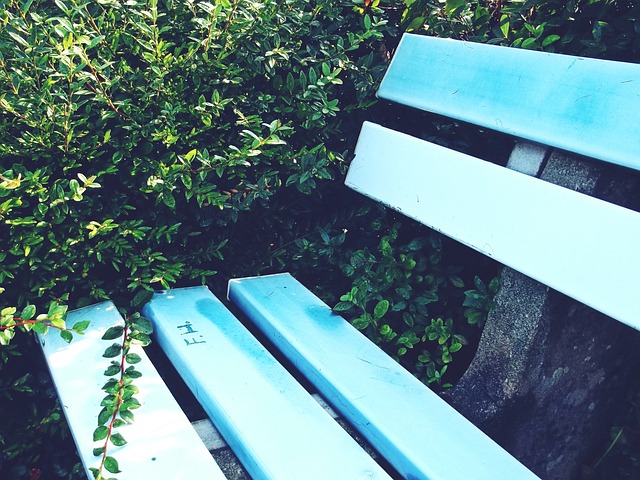 战术特点及 战术特点及